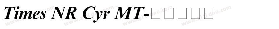Times NR Cyr MT字体转换
